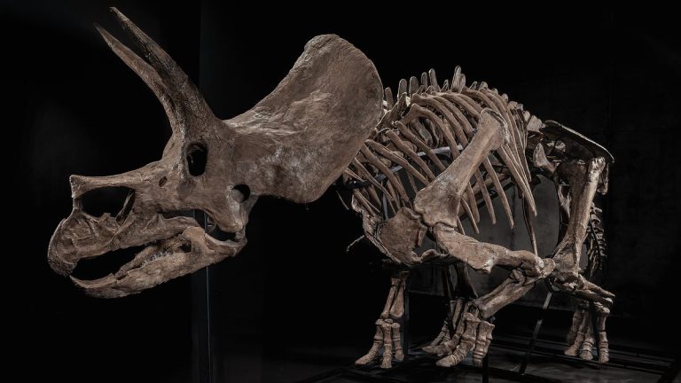 106821543-0-image-m-51_1772516514485