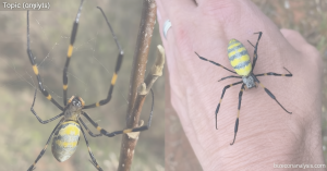 664d17ff-743e-4a13-ab62-aab0633c6e4a-0