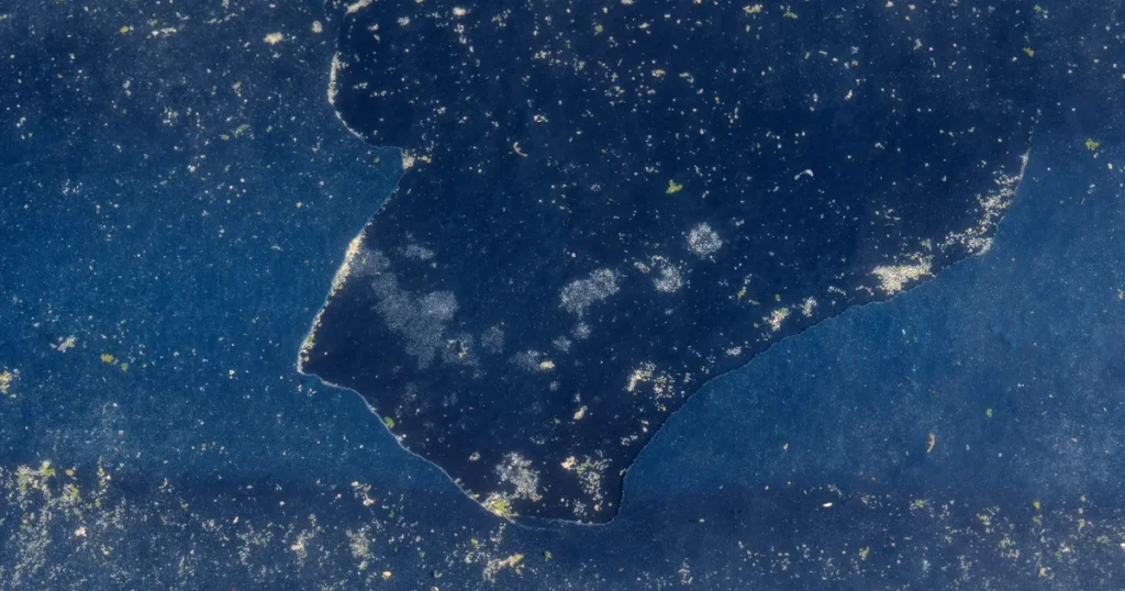 ap26173605666918