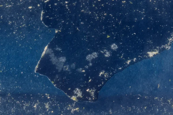 ap26173605666918