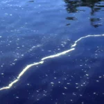 ap26175712012942
