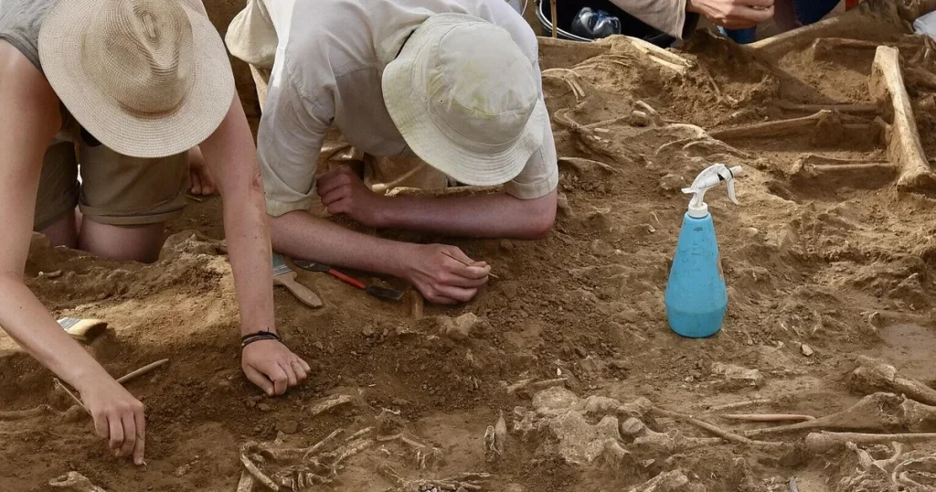 excavations