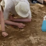 excavations
