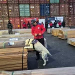 sniffer-dog-1-baja