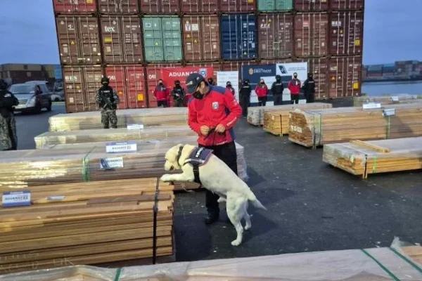 sniffer-dog-1-baja