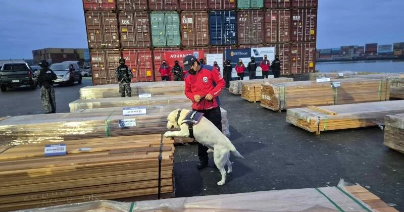sniffer-dog-1-baja
