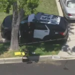 tarzana-stabbing