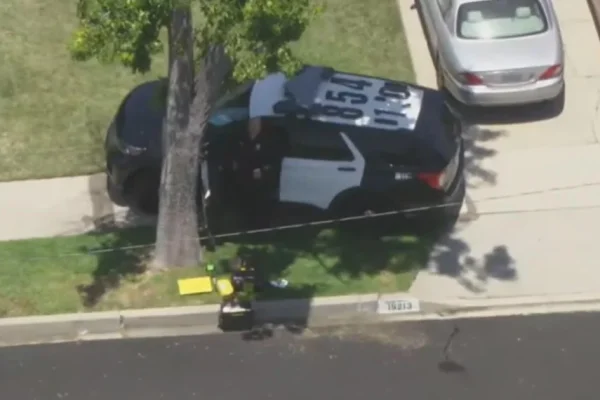 tarzana-stabbing