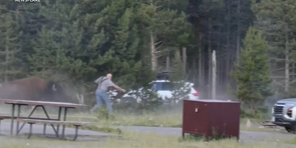 cbsn-fusion-video-shows-bison-charging-at-65-year-old-man-at-yellowstone-national-park-thumbnail
