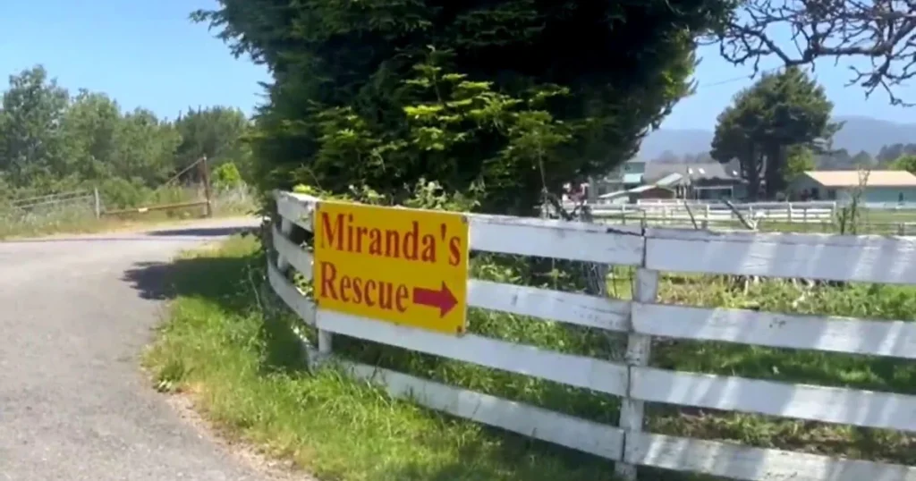 mirandas-rescue