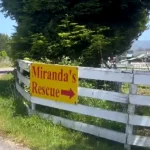 mirandas-rescue