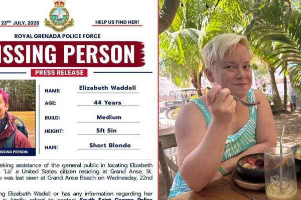 missingpersonlizwaddell