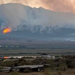 willow-fire-july-5-credit-tyler-scott