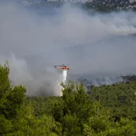 ap26214359931700